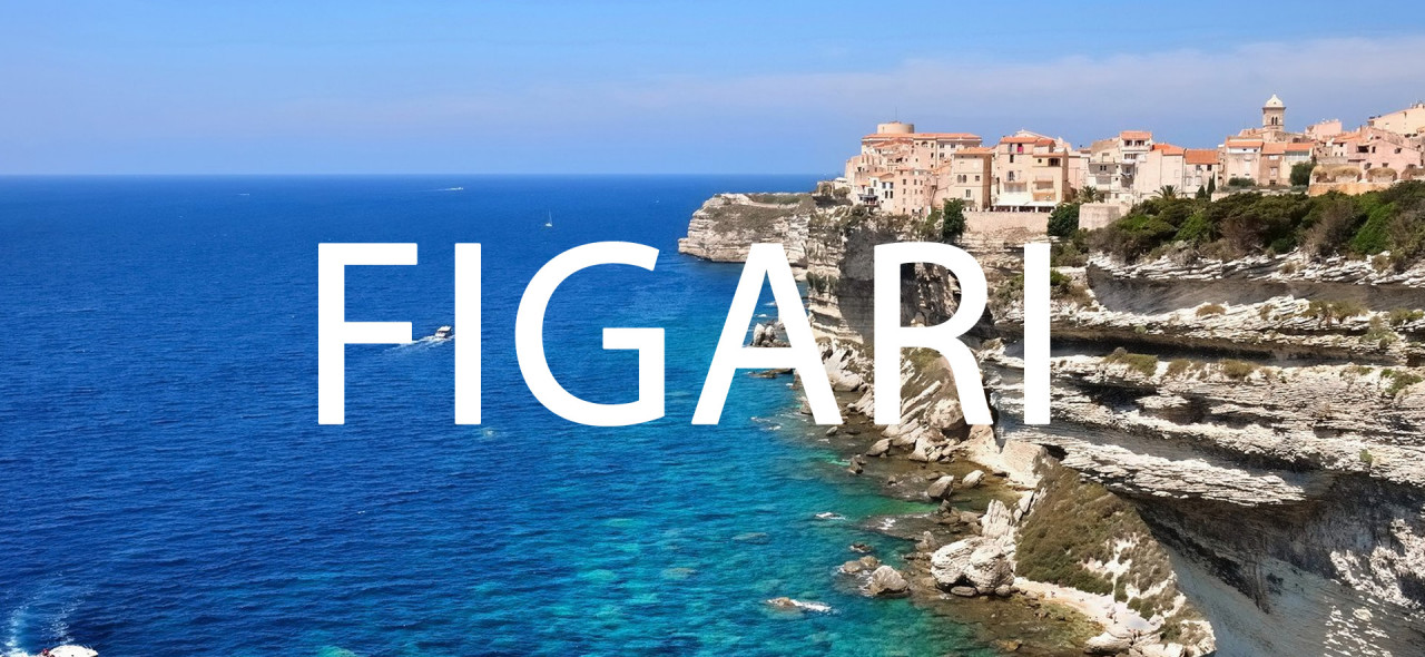 Charta Figari Business Jet na Korsice