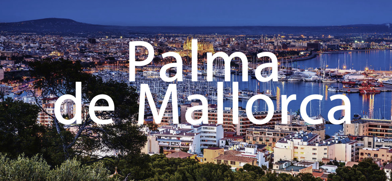 Palma de Mallorca-da Biznes Aviasiyası